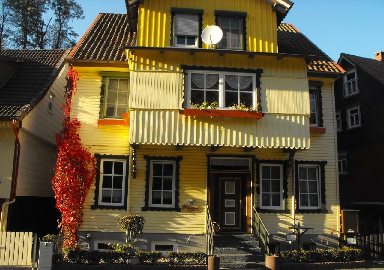 Brummers Ferienwohnung Вильдеманн Экстерьер фото